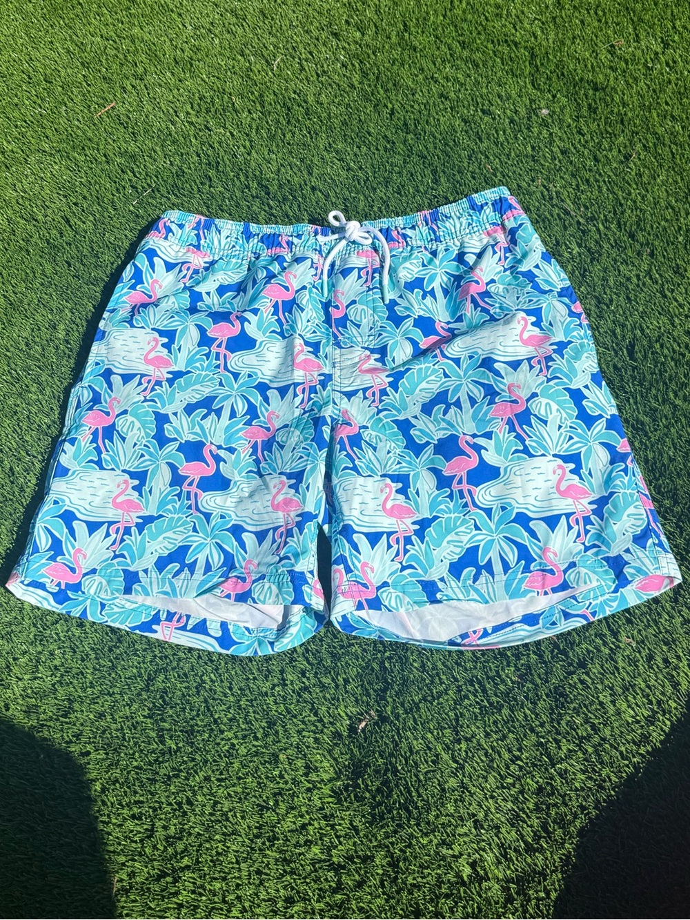 Blue Flamingo Print makers mark Swim Shorts for Men